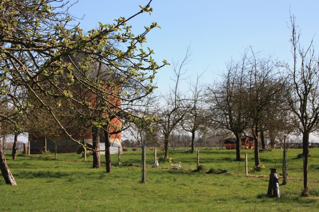 לינה וארוחת בוקר Bretteville-du-Grand Caux Le Tonneau De Marie מראה חיצוני תמונה